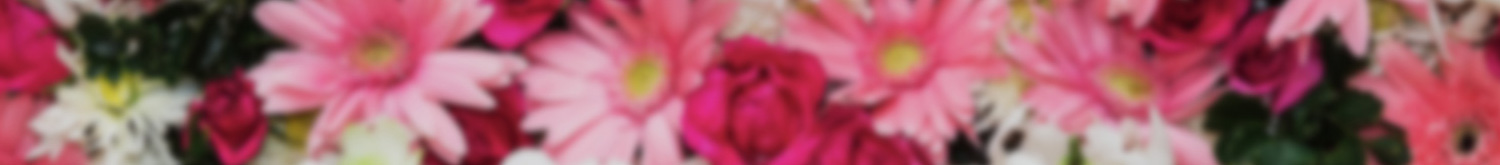 プレゼントキャンペーン