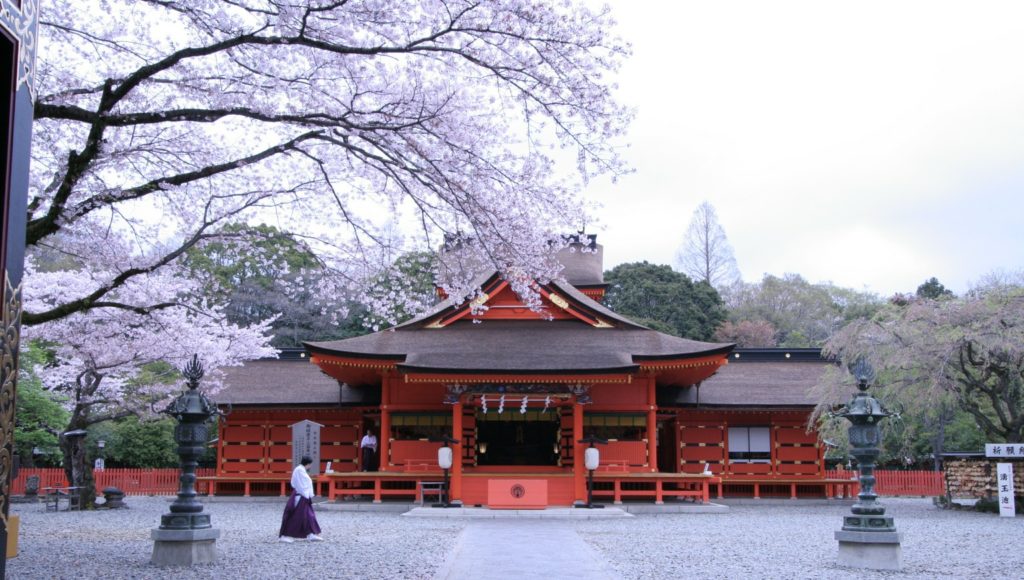 「日本の最強パワースポット～神社」FILE NO.14：富士山本宮浅間大社
